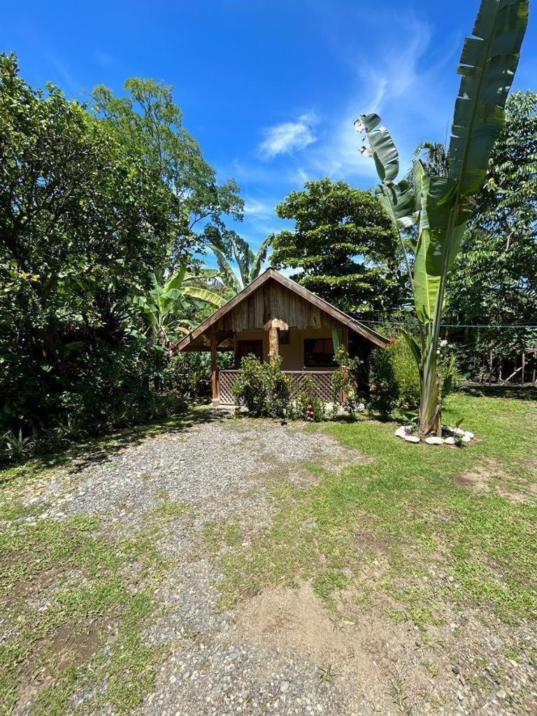 Ballena Oasis Homes & Glamping Uvita Exteriér fotografie