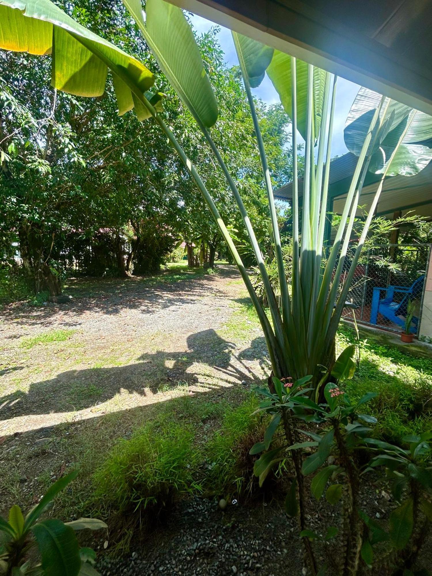 Ballena Oasis Homes & Glamping Uvita Exteriér fotografie