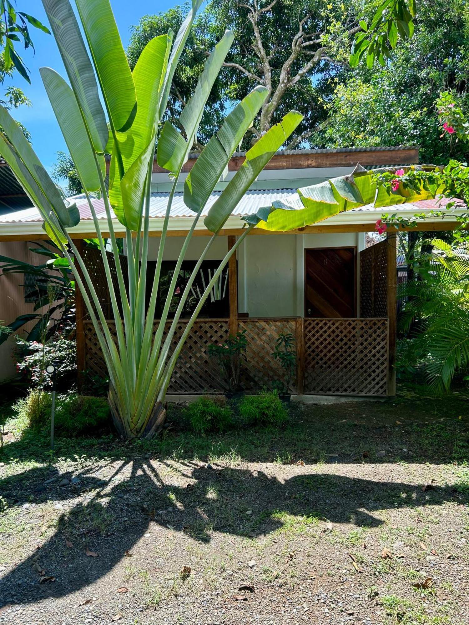 Ballena Oasis Homes & Glamping Uvita Exteriér fotografie