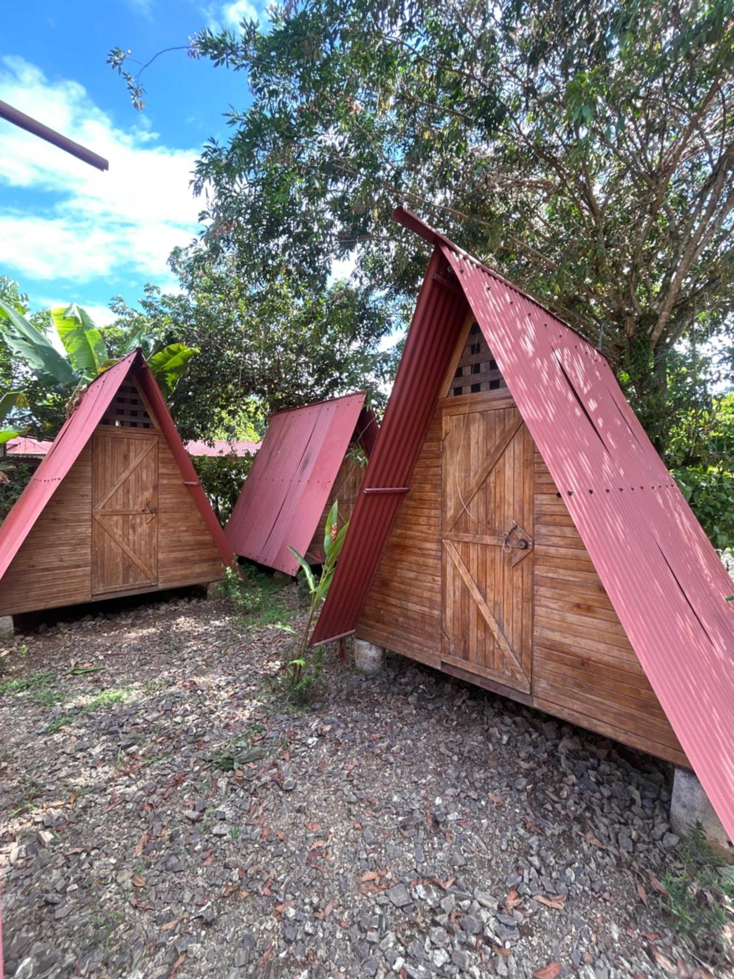 Ballena Oasis Homes & Glamping Uvita Exteriér fotografie