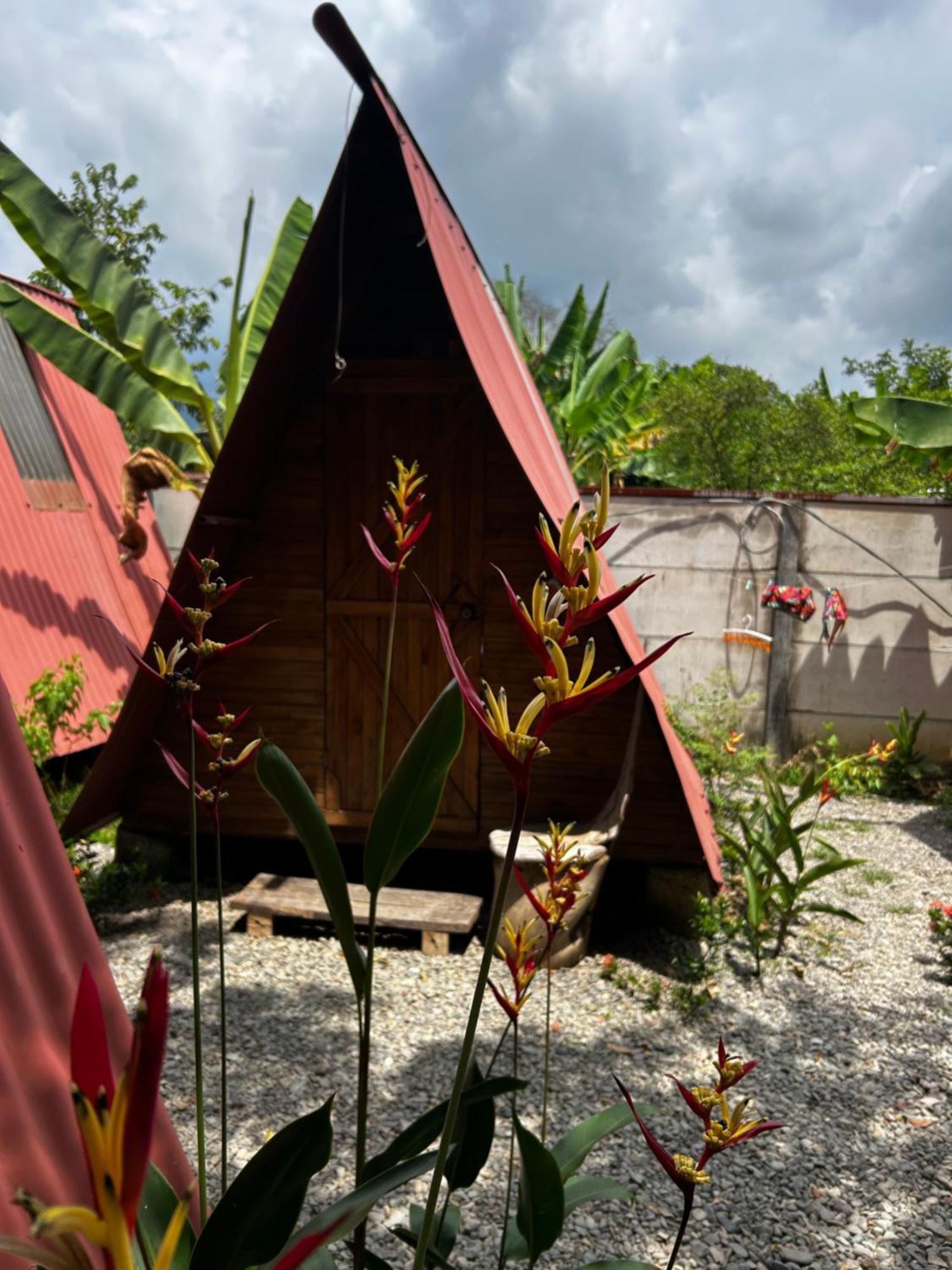 Ballena Oasis Homes & Glamping Uvita Exteriér fotografie